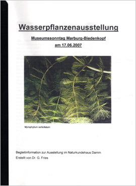  - wasserpflanzen153